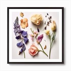 Dried Wild Flowers 4 Art Print