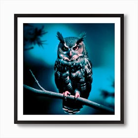 Owl Perched On Branch Art Print