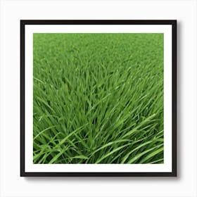 Green Grass 17 Art Print