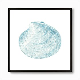 Clam Shell 1 Art Print