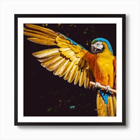 Parrot - Parrot Stock Videos & Royalty-Free Footage Art Print
