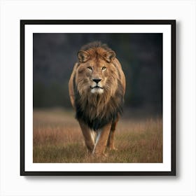 Lion Walking Art Print