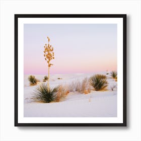 Pastel White Sand Sunset Art Print