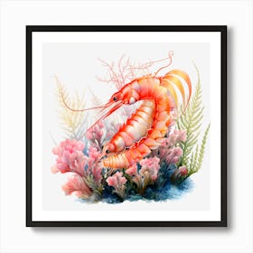 Coral Shrimp Art Print