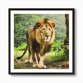 Lion In The Forest Art Print