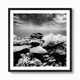 Black And White Coral Reef 2 Art Print