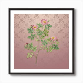 Vintage Rose Corymb Botanical on Dusty Pink Pattern n.0147 Art Print