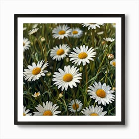 Daisy Field 1 Art Print