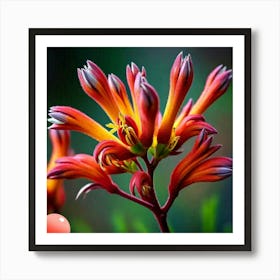 Cactus Flower Art Print