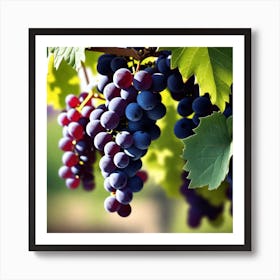 Grapes On The Vine 44 Art Print