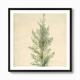 Vintage Christmas 23 Art Print