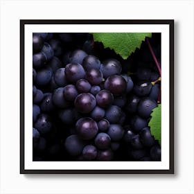 Black Grapes 7 Art Print