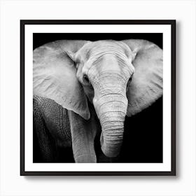 Black And White Elephant Art Print