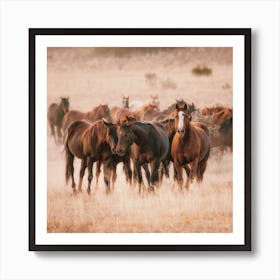 Wild Horse Herd Scenery Art Print