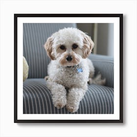 Dog Sitting On Chair Art Print