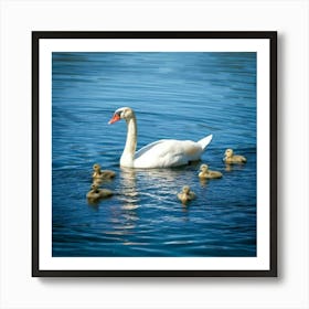 Firefly Baby Ducklings And Cygnet Swimming In Tranquil Lake 59687 (2) Art Print