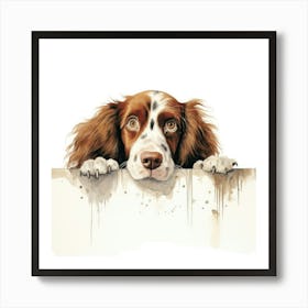 Spaniel Welsh Springer 3 Art Print