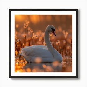 Sunrise Swan Art Print