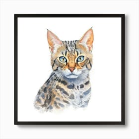 Bengal Marbled Cat Portrait 3 Art Print