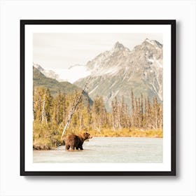 Grizzly Bear In Lake Square Art Print