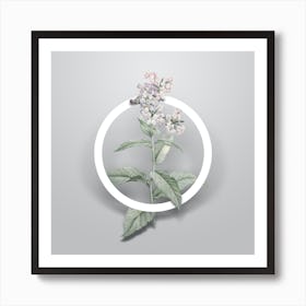 Vintage White Gillyflower Bloom Minimalist Floral Geometric Circle on Soft Gray n.0559 Art Print