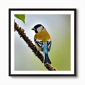 Goldfinch 1 Art Print