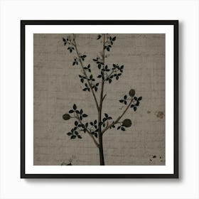 Pomegranate Tree Art Print