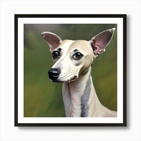 Whippet dog Art Print