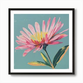 Asters 2 Square Flower Illustration Art Print