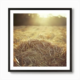 Hay Field Art Print