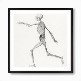 Running Skeleton Art Print