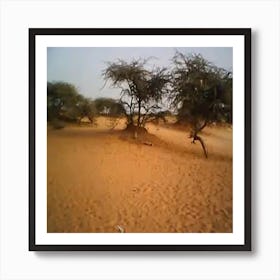 Sahara Desert Art Print