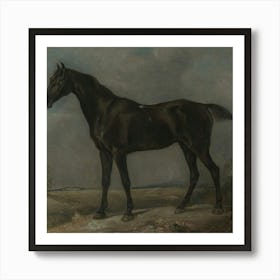 Black Horse Art Print