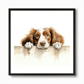 Spaniel Welsh Springer 2 Art Print