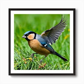 Bird Natural Wild Wildlife Tit Sparrows Sparrow Blue Red Yellow Orange Brown Wing Wings (37) Art Print