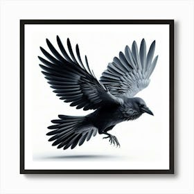 Flying Crow Art Print