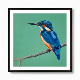 Kingfisher SB Art Print