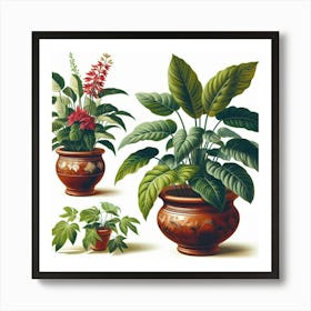 Three Potted Plants Art Print