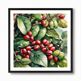 Coffee Berries 13 Art Print