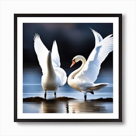 Pair of Swans Art Print