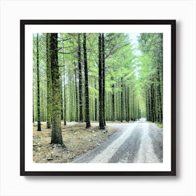 Road In The Forest Art Print