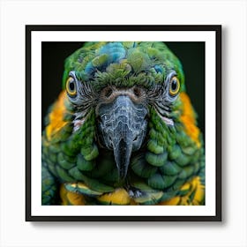 Parrot Gaze Art Print