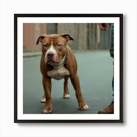 Dog Standing On Street Art Print