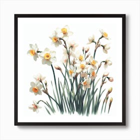 Flowers of Narcissus 3 Art Print