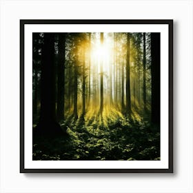 Forest At Sunrise Art Print