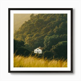 House In The Forest Art Print