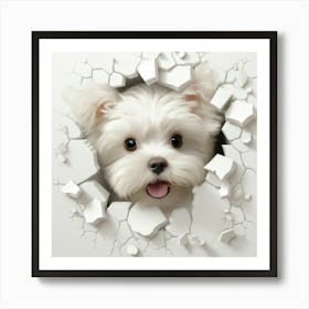 Maltese S 1 Art Print