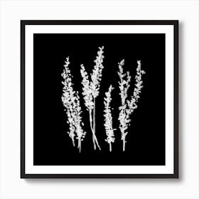 Night Hyacinths Square Art Print