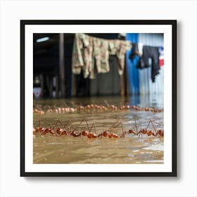 Resilience in Unity: Ants Forming a Bridge Over Water Art Print