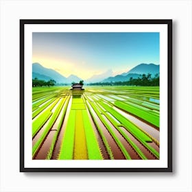 Rice Field At Sunrise Art Print